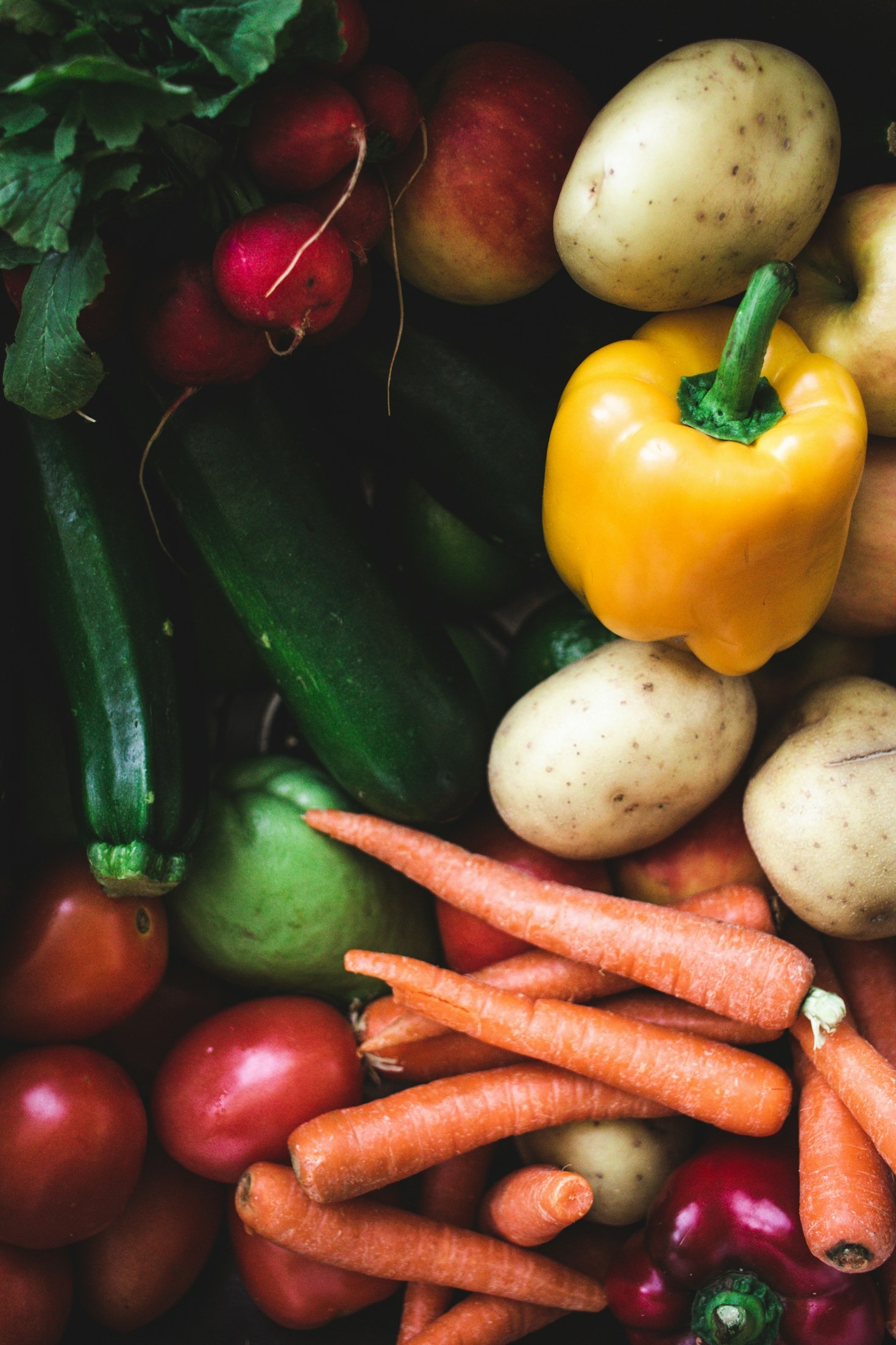Exploring the Diversity of Plant-Based Cuisines